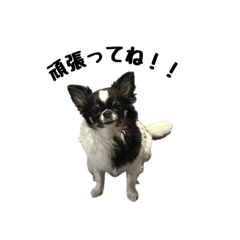 ndr.031_20250112213655