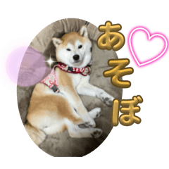 Choco_20250113090421