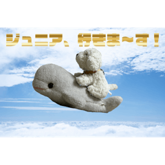 jack_20250112214655