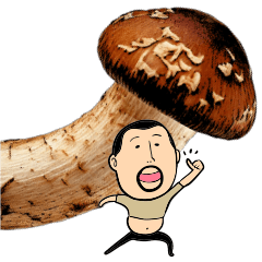 Matsutake dan Higepocha ayahku