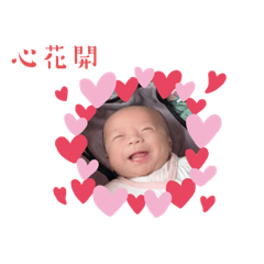 日常辰辰