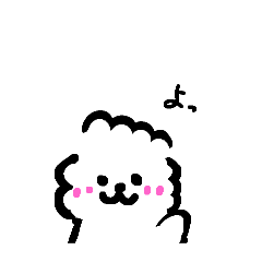 Anko_20250110_Bichon Frise