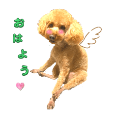 anne_2025011309465