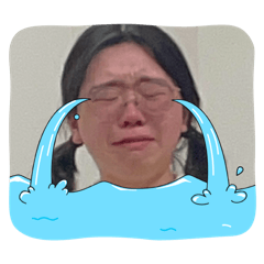 hikaru_20250113111643