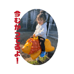 koto_20250113184833