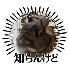 waguri_20250113113424