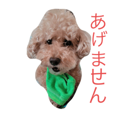 KK_20250113153333