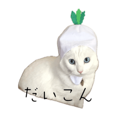 ai_20250113153853