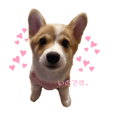 choco_20250113155906