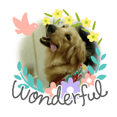 เจ้าสอง ปอ