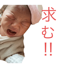 きゅるるん天使