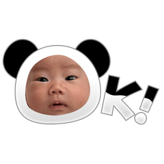 uki_20250113150823