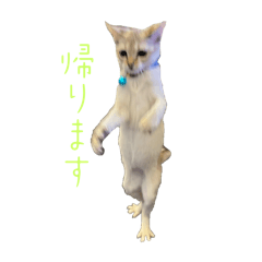 Yui_20250113152047