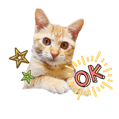 kinaazu_20250113231323