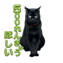 mikang_20250114075323