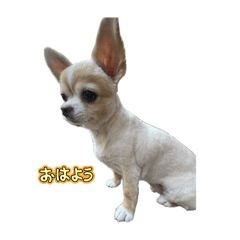 YH_20250114011641
