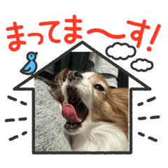 kana_20250113194714
