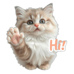 Adorable Kitty Greetings