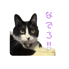 Masa_20250113213428