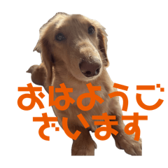 momo_20250113202221