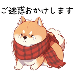 Shiba Inu with a cold and feeling unwell