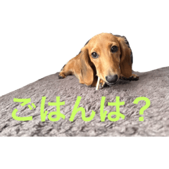 UMA_20250114131637
