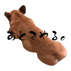kii_20250113210836