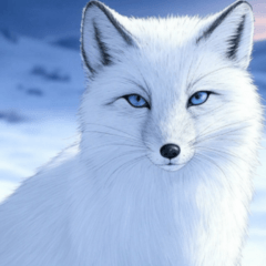 Comic arctic fox 1