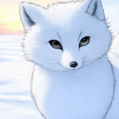 Comic arctic fox 7