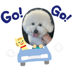 haruka_20250114193050