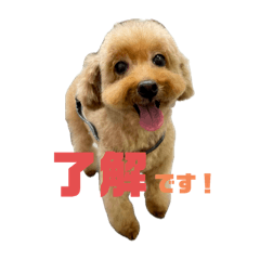 vivi_20250114200944