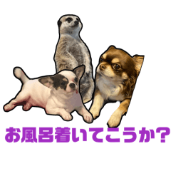 Aya.com_20250114200521