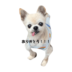nao_20250114183229