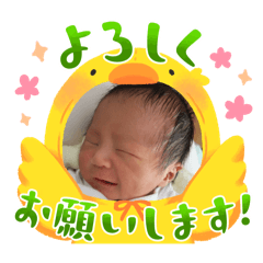 Maki_20250114191434