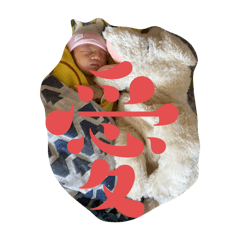 きゅるるん天使2