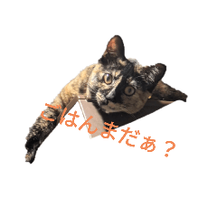 hikari_20250114203320