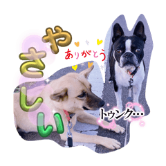 nozo_20250114225553