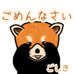 Goshiki's lesser panda