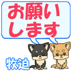 Makiseri's letters Chihuahua2