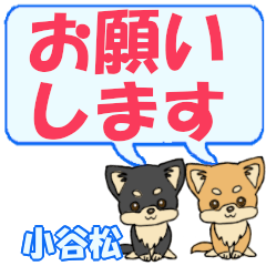 Oyamatsu's letters Chihuahua2 (2)
