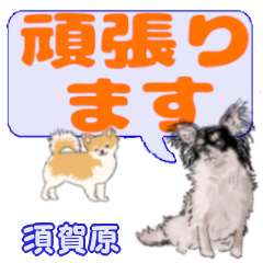 Sukahara's letters Chihuahua