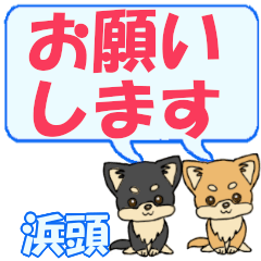 Hamagashira's letters Chihuahua2
