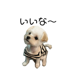 RJ_20250115001750