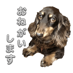Nao_20250115015549