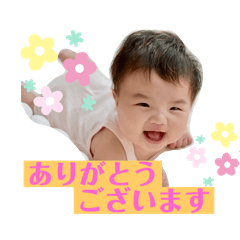 ym_20250115000002