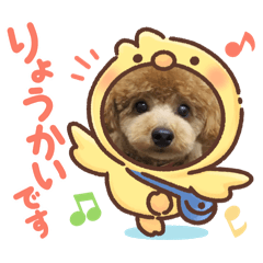 DOG HARU HARU