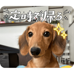 UMA_20250115085717