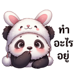 Panda : cute animal