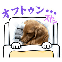 UMA_20250114185331