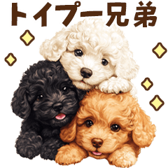 Daily stickers of the poodle brothers.